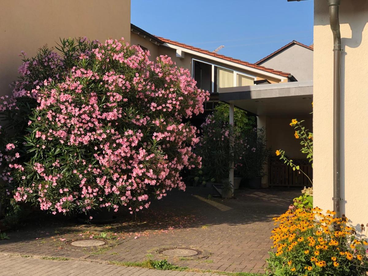 Ferienwohnungen In De Goldisch Luft Gau-Algesheim Exterior foto