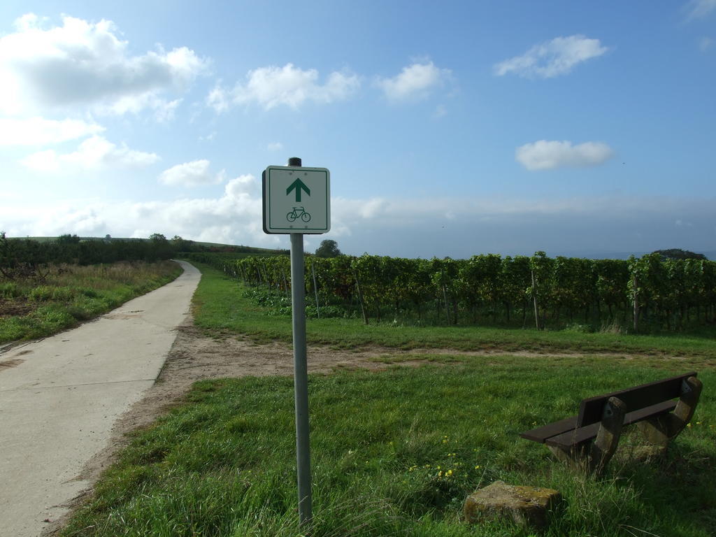Ferienwohnungen In De Goldisch Luft Gau-Algesheim Exterior foto