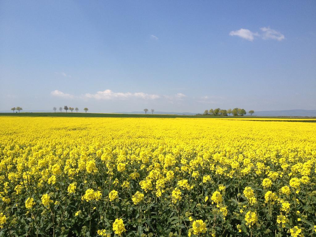 Ferienwohnungen In De Goldisch Luft Gau-Algesheim Exterior foto