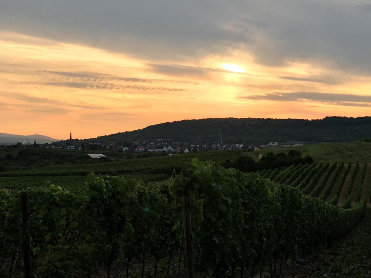 Ferienwohnungen In De Goldisch Luft Gau-Algesheim Exterior foto